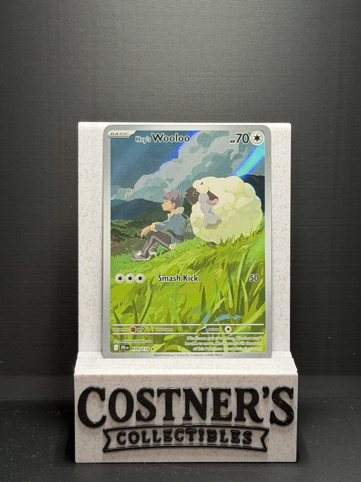 Hop's Wooloo 170/159 Illustration Rare Pokémon Sv09: Journey Together Holo